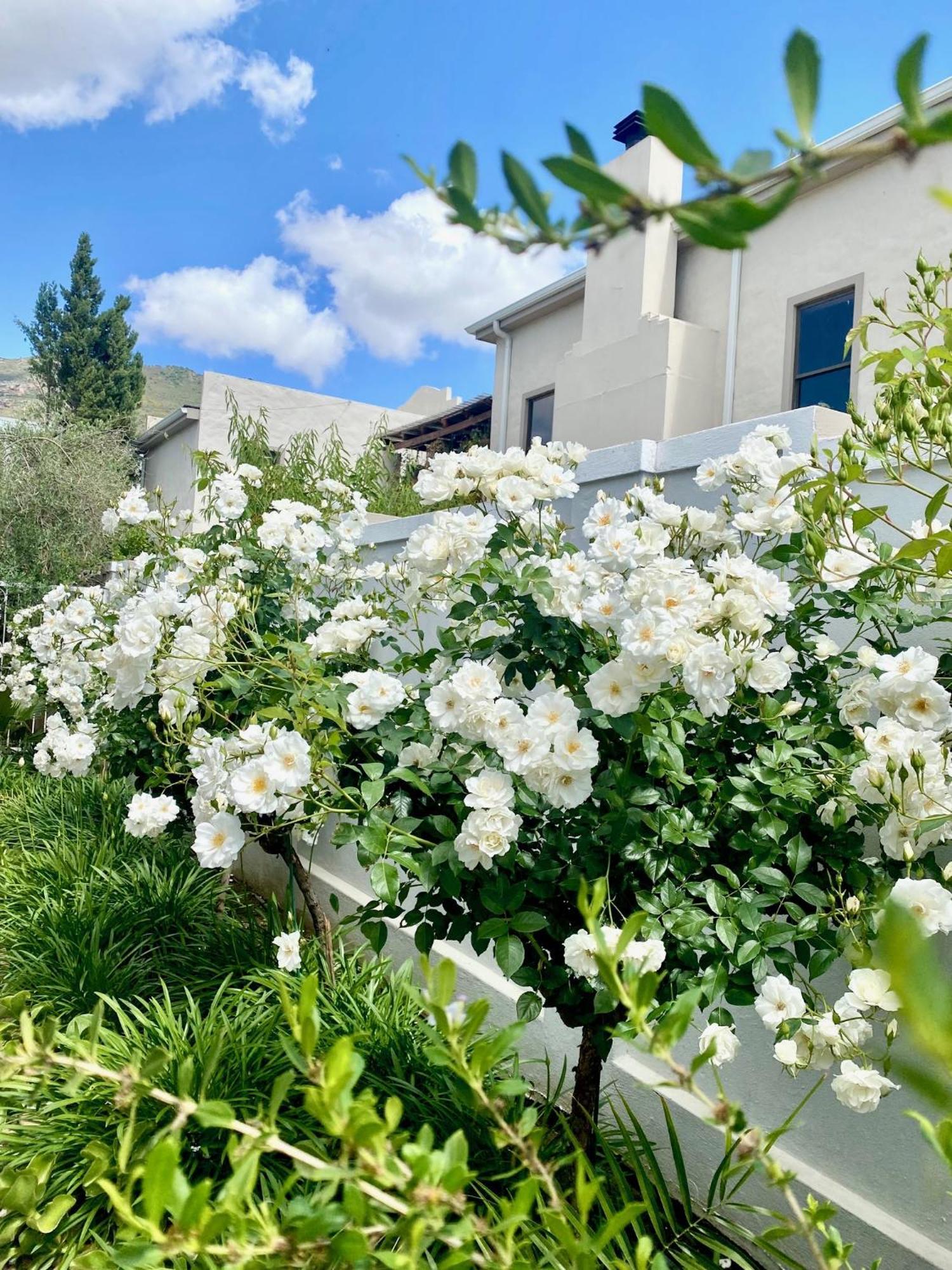 1 Royal Street Guesthouse Riebeek-Kasteel Bagian luar foto