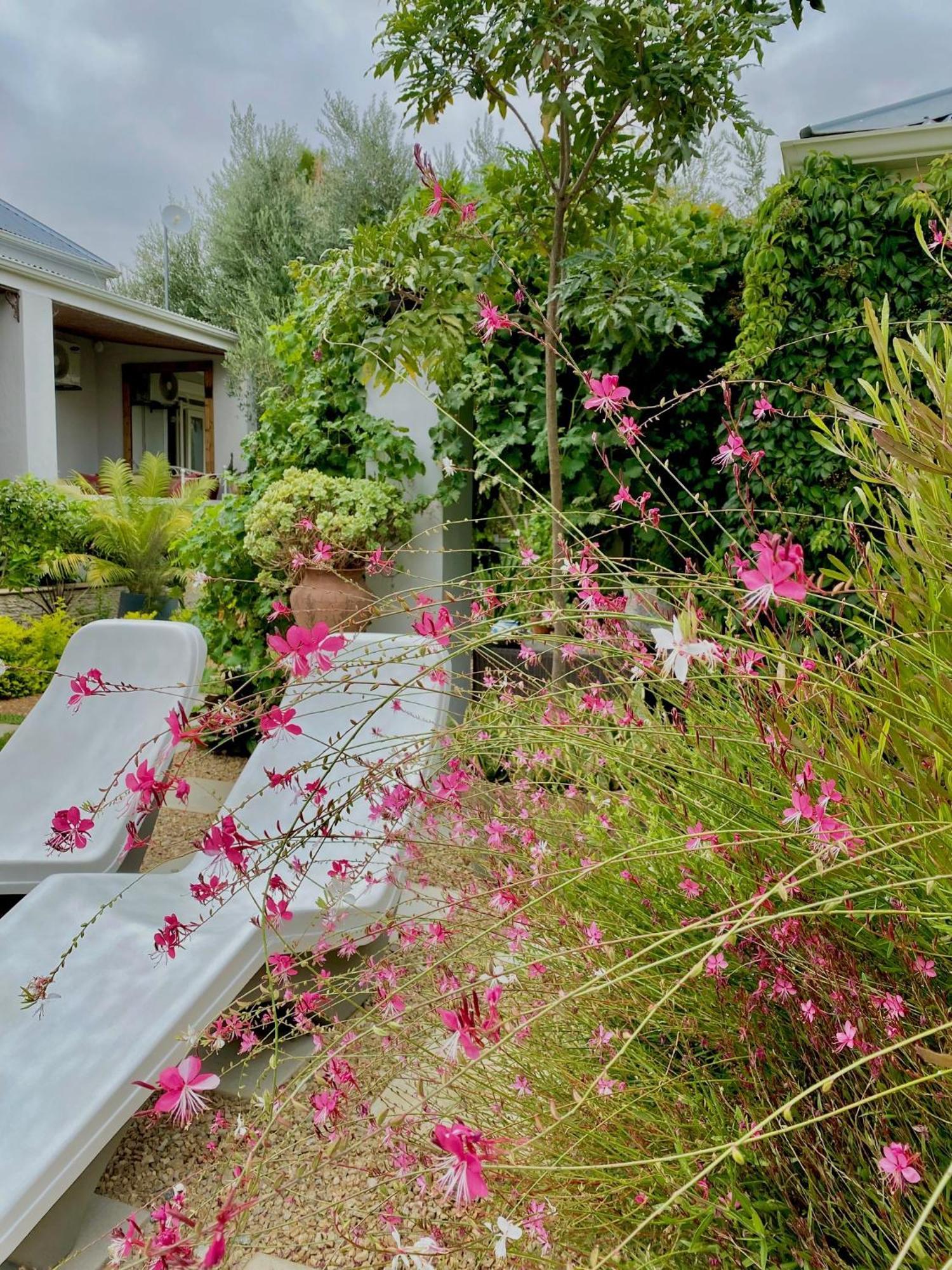 1 Royal Street Guesthouse Riebeek-Kasteel Bagian luar foto