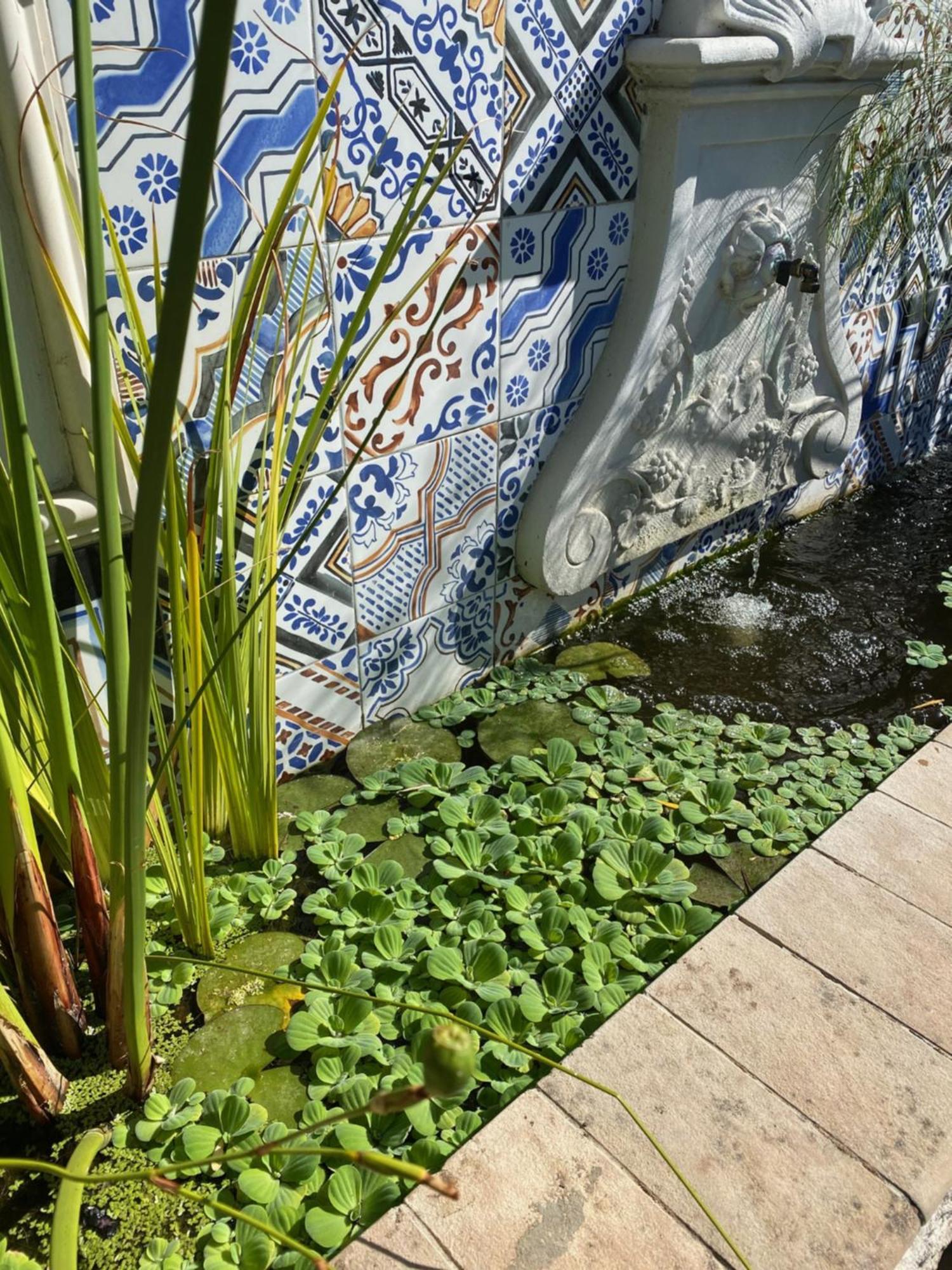 1 Royal Street Guesthouse Riebeek-Kasteel Bagian luar foto