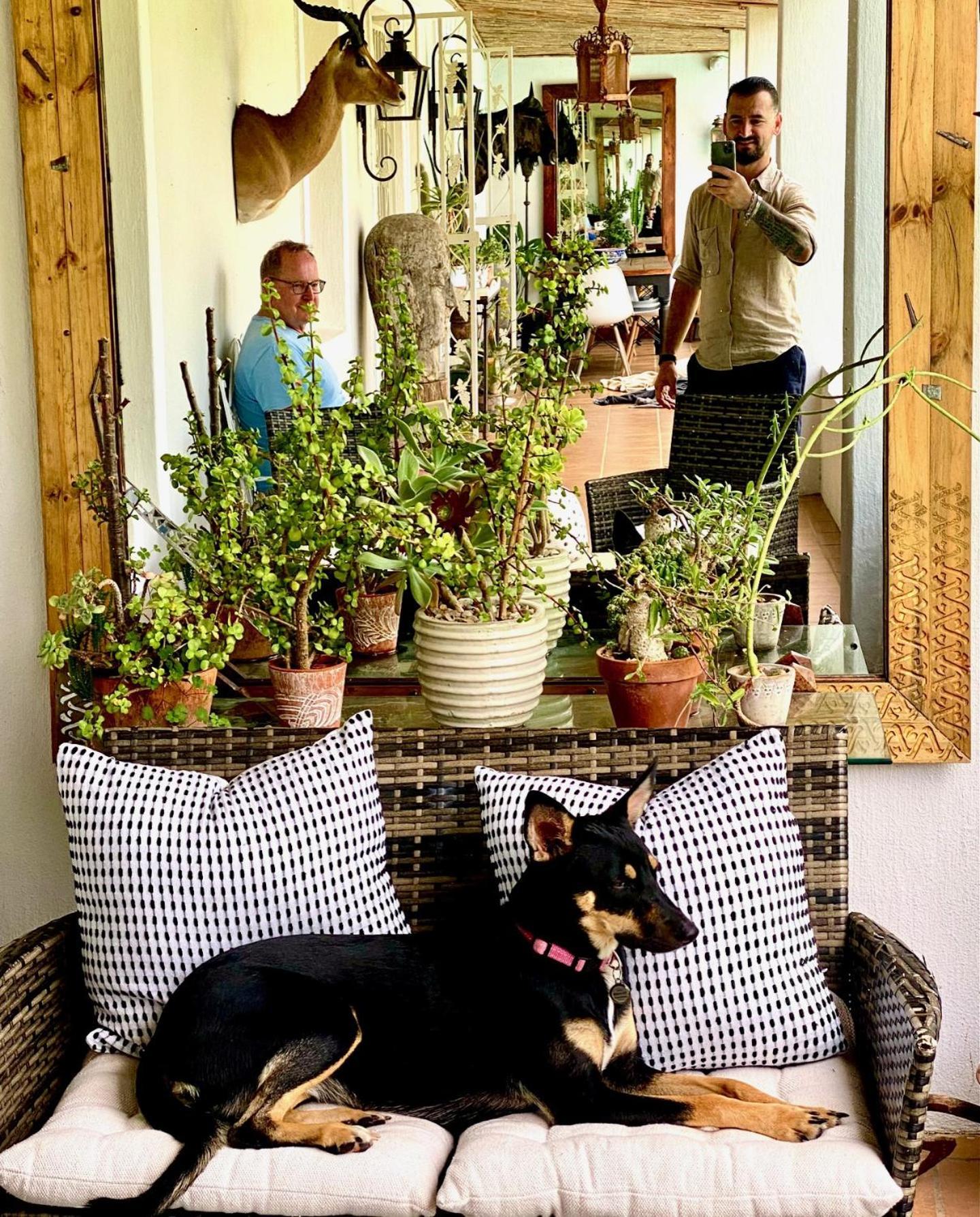 1 Royal Street Guesthouse Riebeek-Kasteel Bagian luar foto