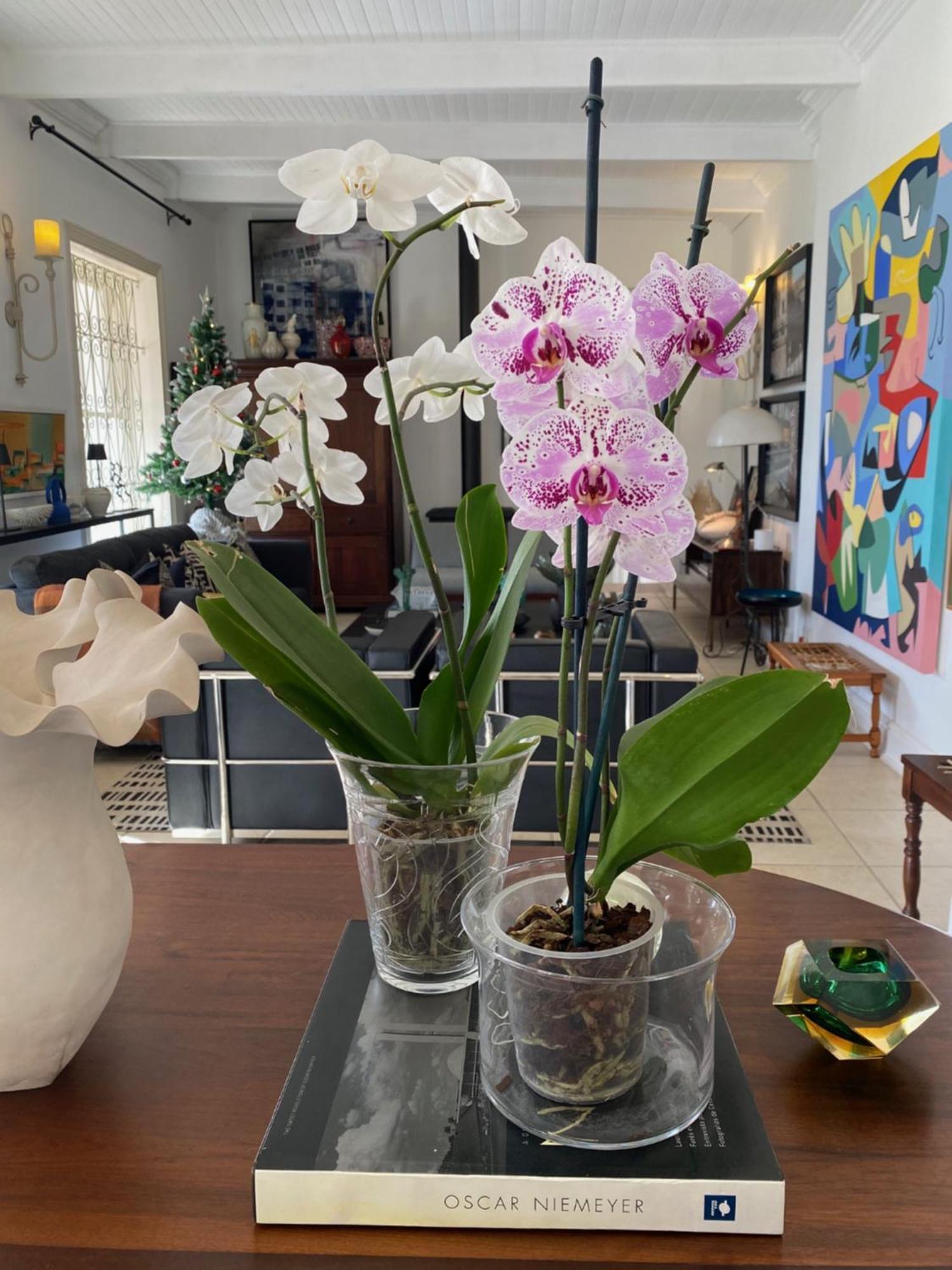 1 Royal Street Guesthouse Riebeek-Kasteel Bagian luar foto