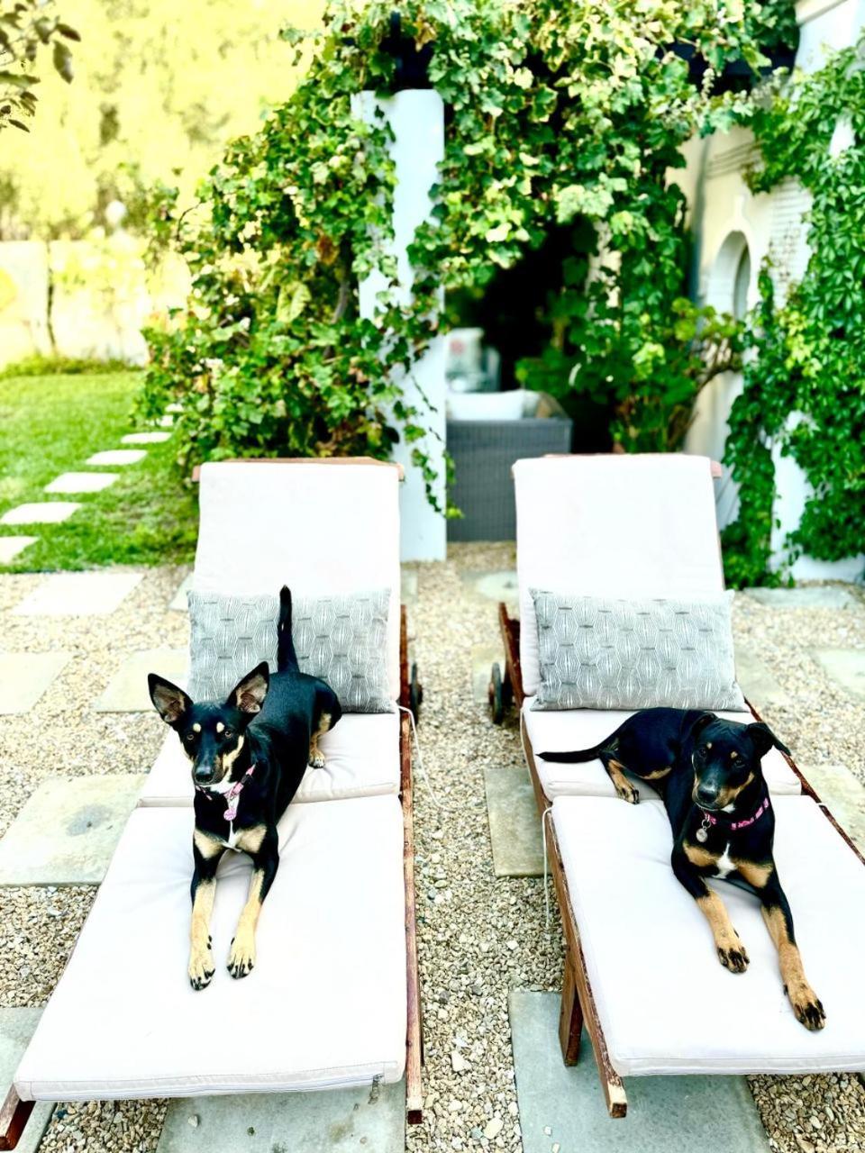 1 Royal Street Guesthouse Riebeek-Kasteel Bagian luar foto